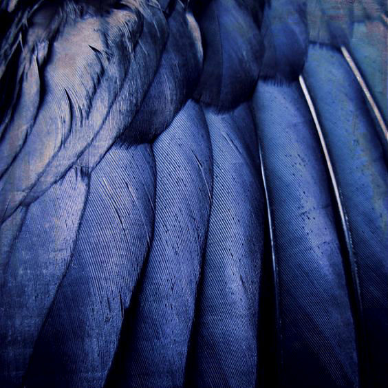 enbycas:  castiel For the first time, in a long time, I am unafraid 