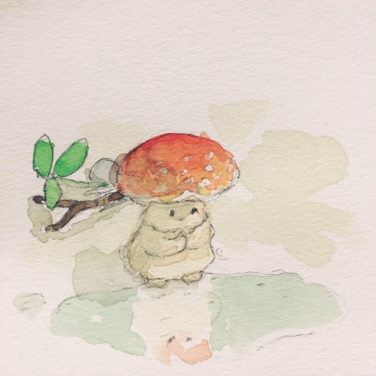 studio-thomas-walsh:A little mushroom finds a puddle