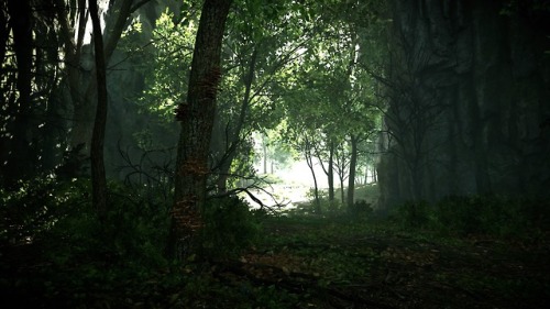 ancienthylian - The woods on the way to Pelagia are my favorite...