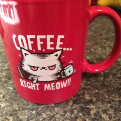 nomnomyumyum:  I love this cup! #coffee #cat