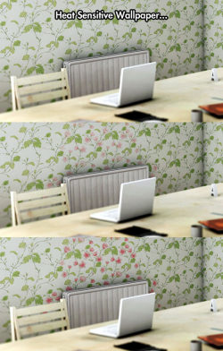 srsfunny:  Wallpaper That Reacts To Temperaturehttp://srsfunny.tumblr.com/