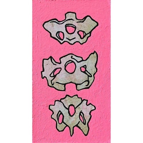 Andalgalornis steulleti vertebrae 8,1x4,5cm acrylic painting. ~ #acrylicpainting #bones #neon #skele