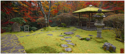 thekimonogallery:Moss garden in autumn, Hakuryu-en, Kyoto, Japan.  Photography by Damien Douxch