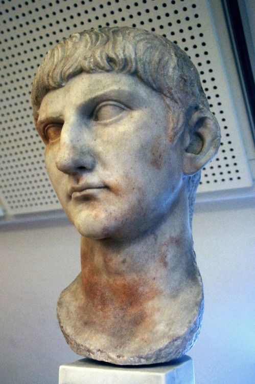 myglyptothek:Portrait of a Julio-Claudian prince, perhaps Drusus Minor. From the theater of Taranto.