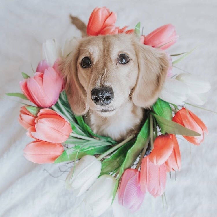 friendly-animals:  (Source)