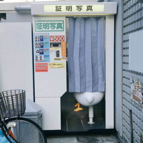 tumblr_py8jxqdxqH1rtrti7o9_500.jpg
