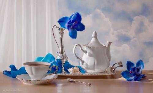 touchn2btouched:  Good Morning 