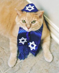 imnotwhiteimjewish:  you guys like jewish cats? good to know 