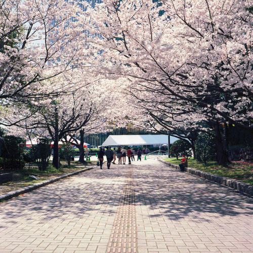 japan-overload:  untitled by funappiy on Flickr. 