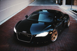 automotivated:  Michael’s R8 by Spencer P Photos on Flickr.