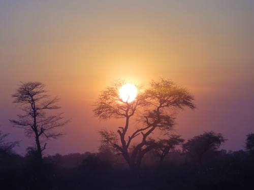 Porn photo woahdudeco:  Sunset in Namibia, 2013 via