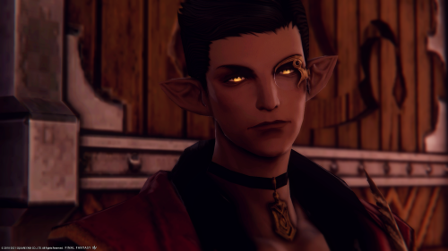 the most eligble bachelor of ishgard with the shortest ears(victore de dzemael, he/him)