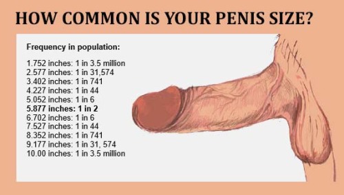 jimmyboyus: menfucking: Instruis toi! The facts!! Now…how did they the researcher get these I wonder