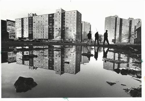 John H. White, “Chicago Housing Projects”, 1981 Show from 7th Sep - 5th Oct, JOHN H. WHI