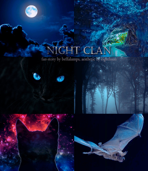 Night Clan aestheticfor @murder-cats