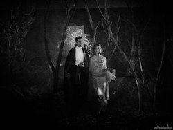 nitratediva: Bela Lugosi and Helen Chandler in Dracula (1931)