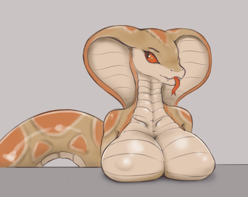 impracticalart:But why do the cute snakes have to fight,