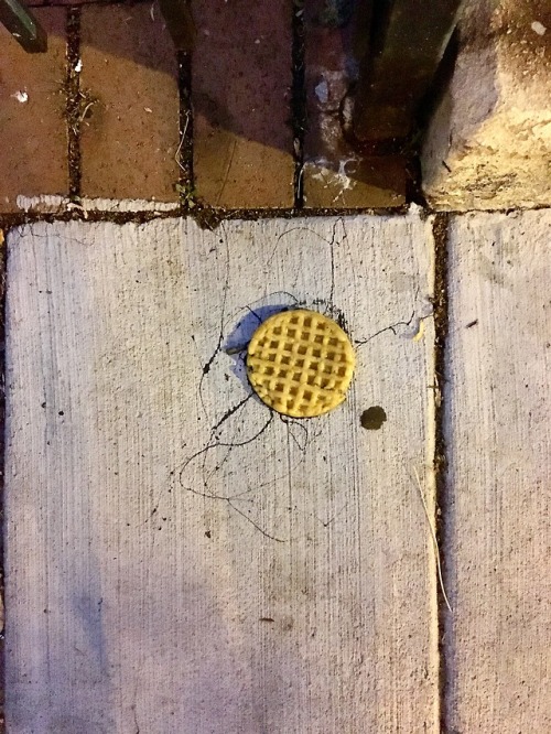 Leggo my Eggo.
Found in Washington, DC