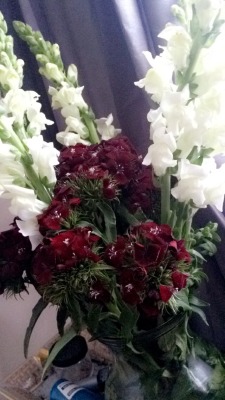 chokesngags:  I love getting fresh flowers