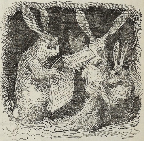 danskjavlarna:From Le Charivari, 1880.My collection of vintage rabbits is coming along hoppingly.The