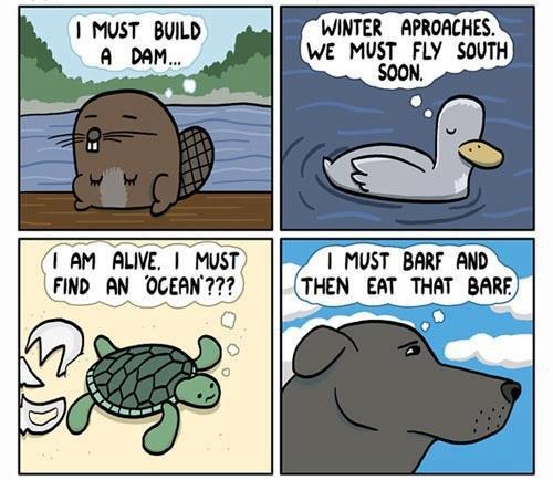 lolsofunny:  (lol here!)