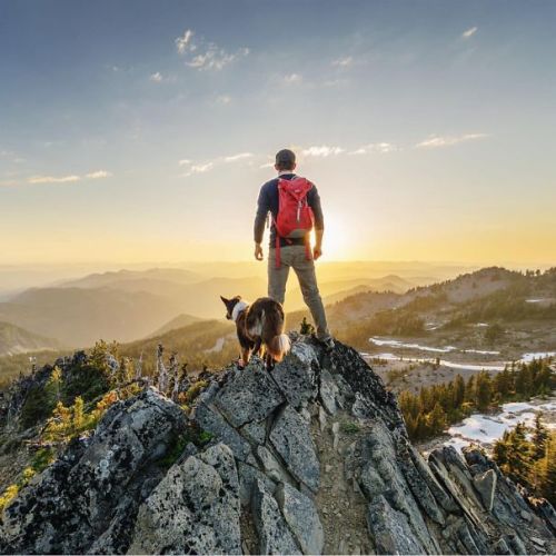 boredpanda: “Camping With Dogs” Instagram Will Inspire You To Go Hiking With Your Dog