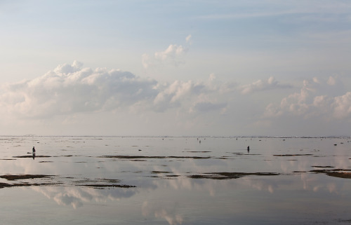 Villagers forage for seafood, Kuta Beach, Lombok Indonesia