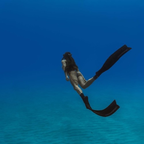 soonerdiver:  Free