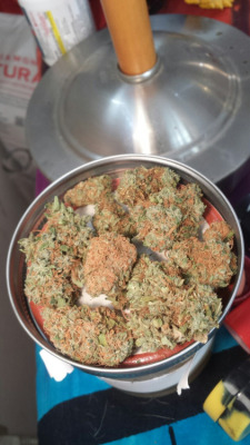 marihuanalegal:  emilyhatesyouall:New ounce