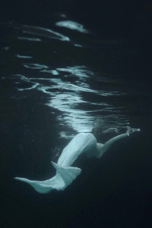 mynightjesmine:  Mermaids are Real..