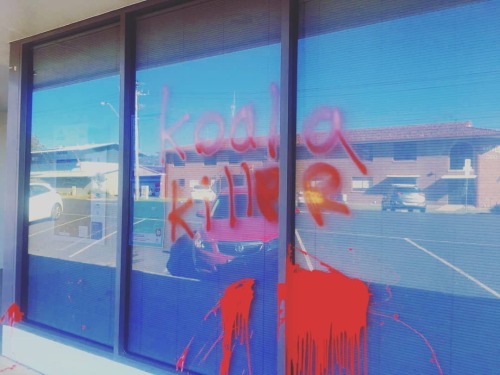 Coffs Harbour National Party office vandalised with red paint and the words ‘Koala Killer’. The vand