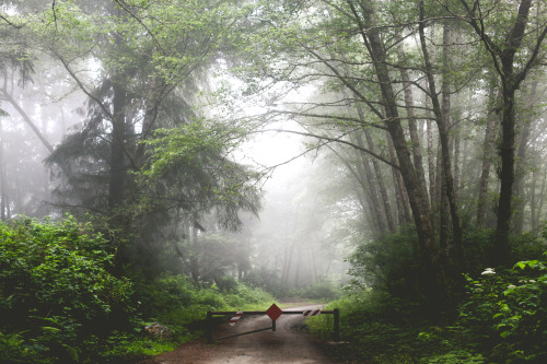 jonahreenders:   The Wandering Project  is now for sale!  All photographs by: Jonah Reenders 