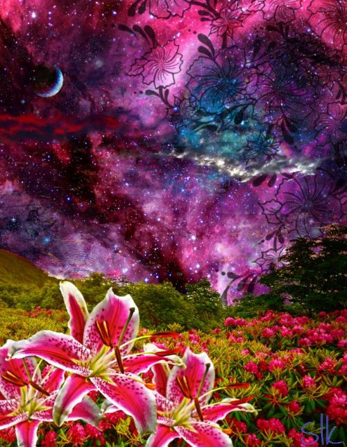 Gravitational Beauty
