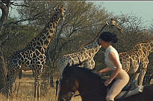 captiankillian:Taylor Swift, Blank Space / Wildest Dreams parallels 