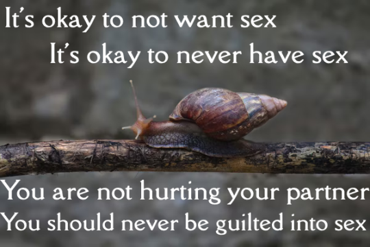 [ID: an image of a gray snail with a brown, cone shaped shell on a twig. There is white text above and below the snail that reads “It’s okay to not want sex” “It’s okay to never have sex” “You are not hurting your partner” “You should never be guilted into sex”. End ID] #recoverycore#affirmations#snails#positivity#self love#self care#mental health#gentle reminders#asexual#ace#ace positivity#snaffirmation#text id