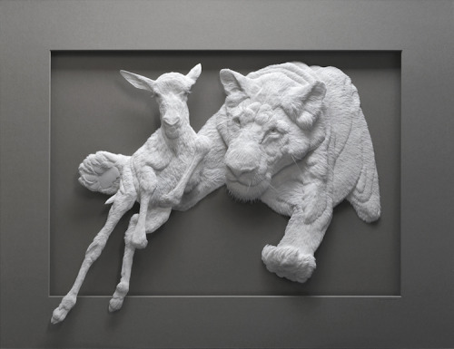Paper artist Calvin Nicholls creates incredible low relief sculptures of animals by manipulating pap