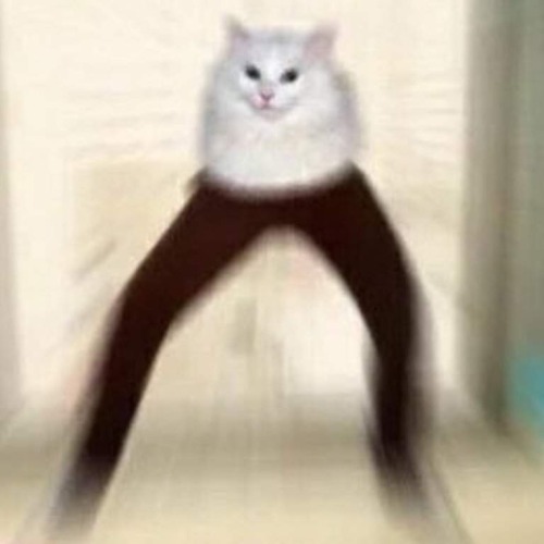 evilcatladyfromhell - Welcome To Hell