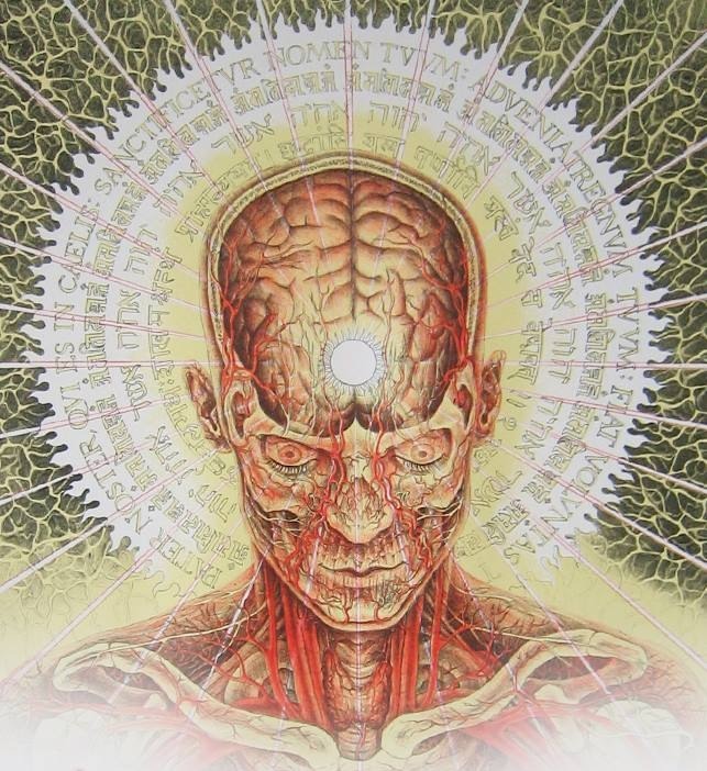 Alex Grey