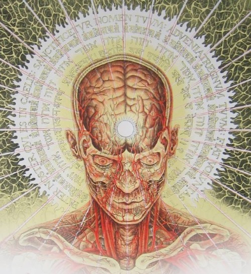 Porn Pics Alex Grey