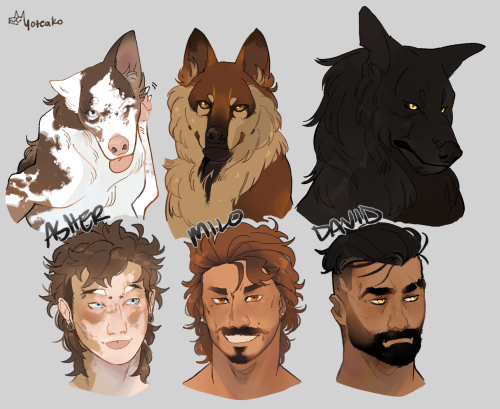 Last One For The Night. A Little Something For Our Wolf Boys.