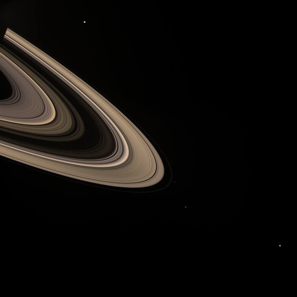 cosmicdatabase:  Saturn’s sunlight-scattering rings with several moons - Enceladus