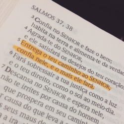 encantosdeflor:  🙌🙏