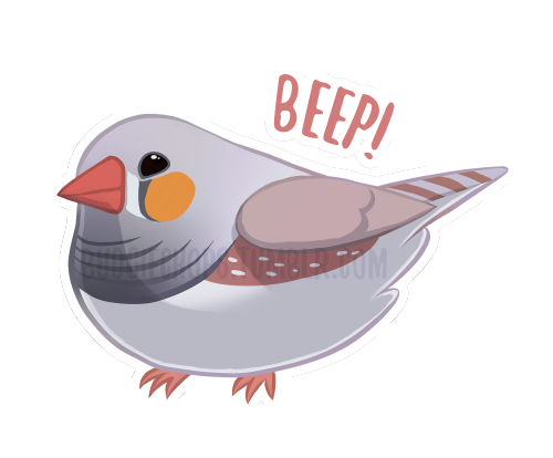 budgiechops:A little beeping zebra finch! Available on my Redbubble store (unwatermarked of course!)