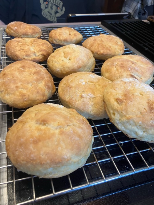 Made Some Biscuits!