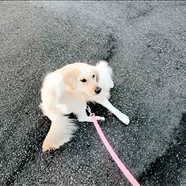 markired:  chica (ﾉ◕ヮ◕)ﾉ*:･ﾟ✧