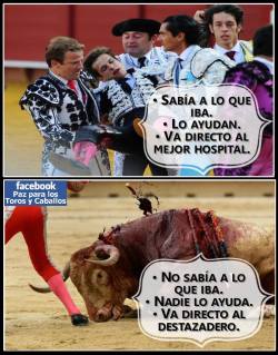 carikat:  de que se trata? :( pobres toros 