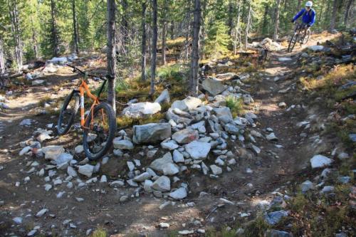 The CDT near Chief Joseph Pass