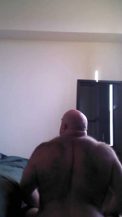 thebigbearcave:that chest, holy gods, i could squirt a dab of ID in that crevice and use it in manly ways.  if it was shaved, i’d be squirting right now! (fur can get a little irritating when attempting sex with such body areas - like frottage between