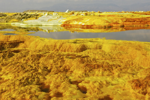 sixpenceee:  Dallol is a volcanic crater located in the  Danokil Desert in Ethiopia. Surrounding the volcano are acidic hot springs, mountains of sulphur, pillars of salt, small gas geysers and pools of acid isolated by salt ridges. It makes for one