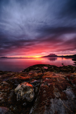 theencompassingworld:  wowtastic-nature:  💙 Sunrise 3:00 on 500px by Abel Berthelsen, Nuuk, Greenland☀  NIKON D750-f/8-2s-14mm-iso64, 3288✱4926px-rating:94.1◉  Photo location: Google Maps    The World Around Us